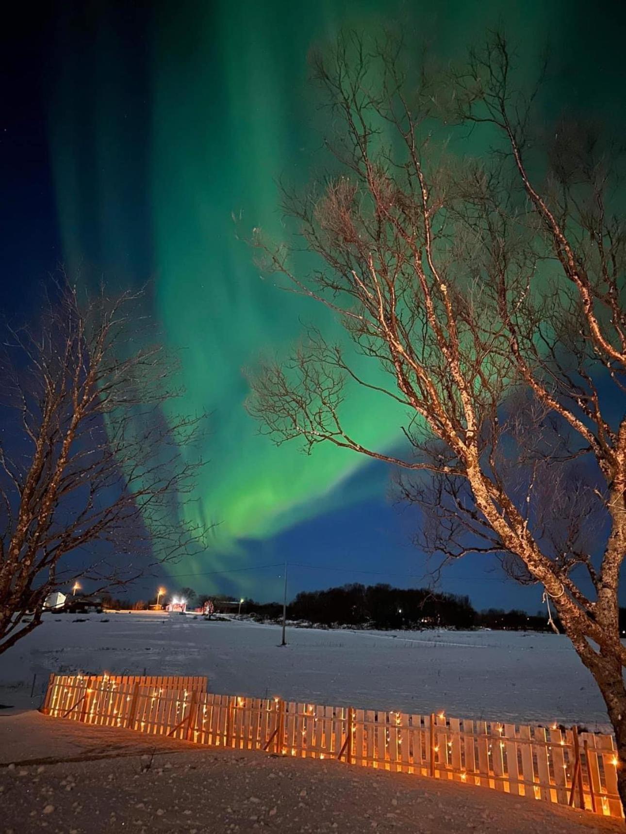 Midnattsolveien 3158,Sommarhusstrand Laukvik Lofoten Norway Eksteriør billede