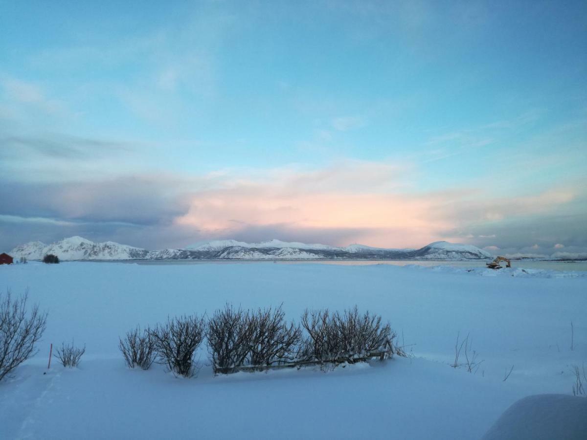 Midnattsolveien 3158,Sommarhusstrand Laukvik Lofoten Norway Eksteriør billede