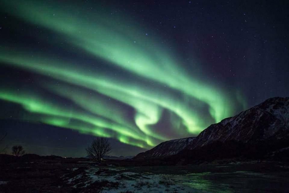 Midnattsolveien 3158,Sommarhusstrand Laukvik Lofoten Norway Eksteriør billede