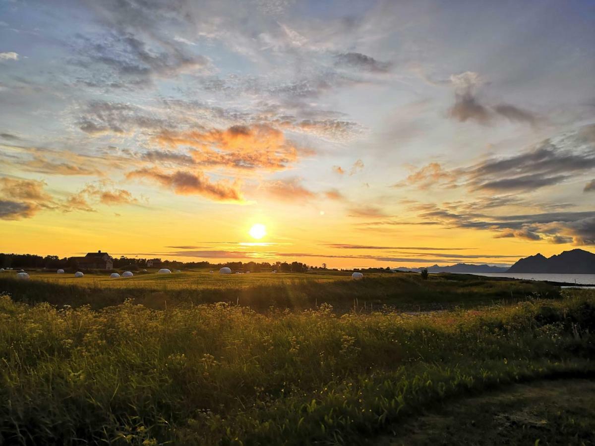 Midnattsolveien 3158,Sommarhusstrand Laukvik Lofoten Norway Eksteriør billede